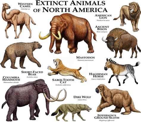 Extinct Mammals of North America Poster Print - Etsy