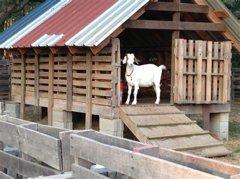 14Pallet Goat Shelter | Домик для коз, Козоводство, Козы