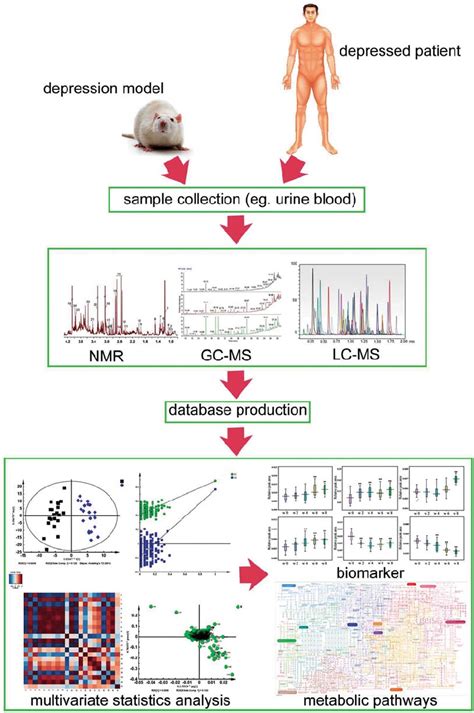 The general procedures where biomarkers can be discovered via ...