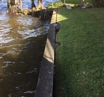 Seawall Erosion & Repair Florida | Foundation Professionals of Florida