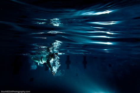 Olympic Swimming - Underwater Photography - McMaster Swim Team