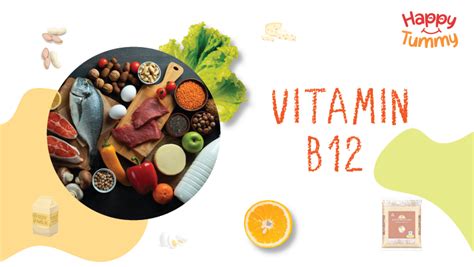 Top Sources of Vitamin B12 | Uses, Benefits of Vitamin B12 - Happytummy