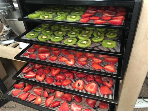 Dehydrator Basics: Fruit | Habits of a Modern Hippie