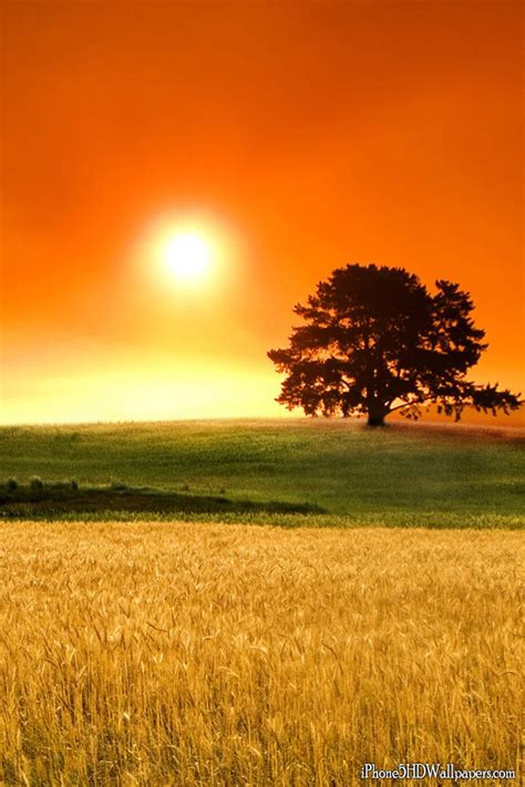 Sunny Day Wallpaper - WallpaperSafari