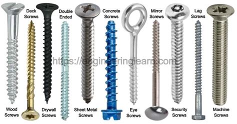 Types of Screws and Their Uses