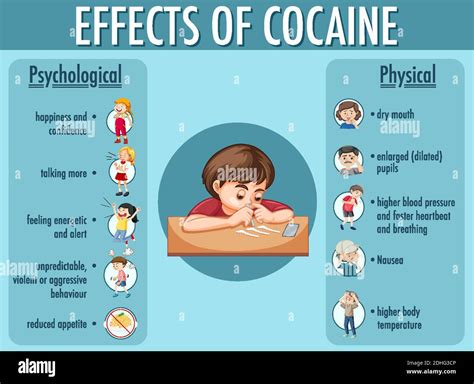 Effects of cocaine information infographic illustration Stock Vector ...