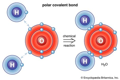 Water | Definition, Chemical Formula, Structure, Molecule, & Facts ...