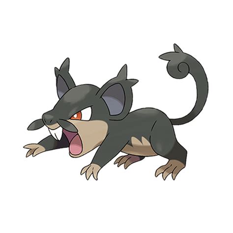 Rattata | Pokédex