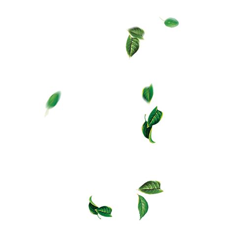 Leaf Green Tree - Falling leaves png download - 1400*1400 - Free ...