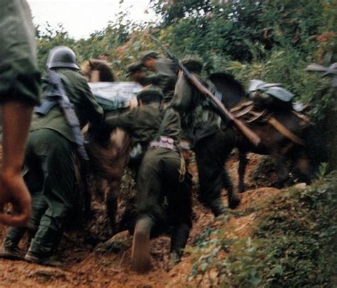 38 amazing images of the Sino-Vietnamise war