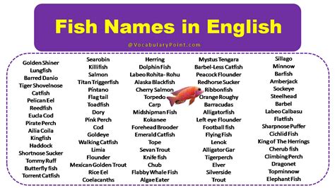 Clever Fish Names Puns - Infoupdate.org