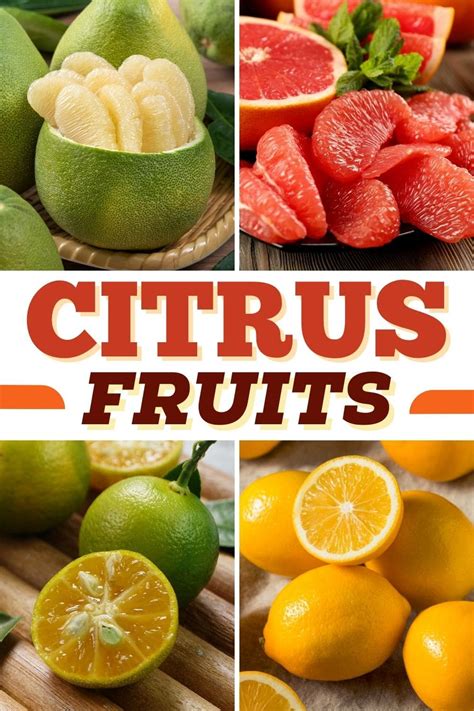 25 Top Citrus Fruits (+ Health Benefits) - Insanely Good