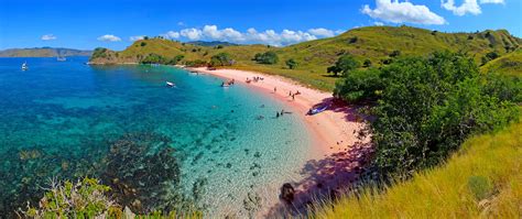 Pink beach - Komodo Tour Boat