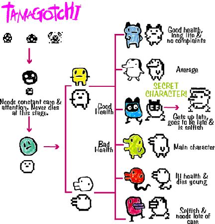 Tamagotchi Growth Chart - Tamagotchi Wikia