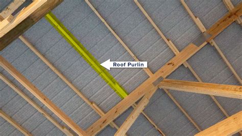 What Is A Roof Purlin, And Why Is It Important?, 49% OFF