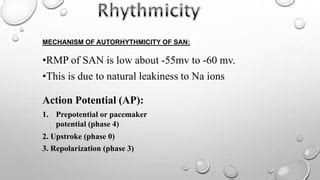 Rythemecity and automatecity of heart | PPT | Free Download