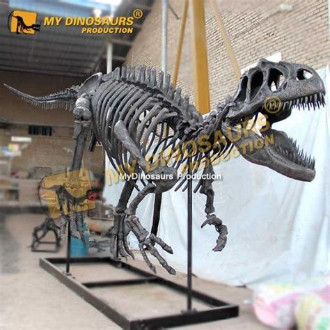 DS-193 Replica Allosaurus Skeleton for Sale | My Dinosaurs