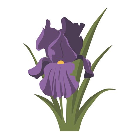 Iris Flower color clip art Design 3161067 Vector Art at Vecteezy