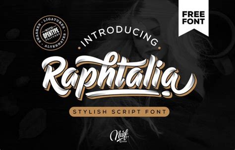 40+ Bold & Free Script Fonts 2021 | Design Shack