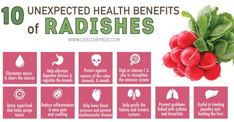 10 Unexpected Health Benefits of Radishes | Health benefits of radishes ...