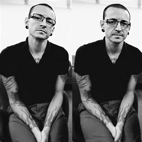 Chester is a Star on Instagram: “Chester in black and white” | Chester ...