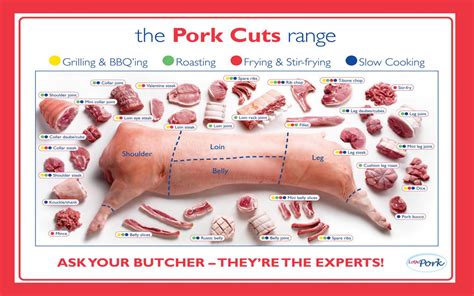 The Pork cuts range Infographic Chart 24"x35" (60cm/90cm) Canvas Print