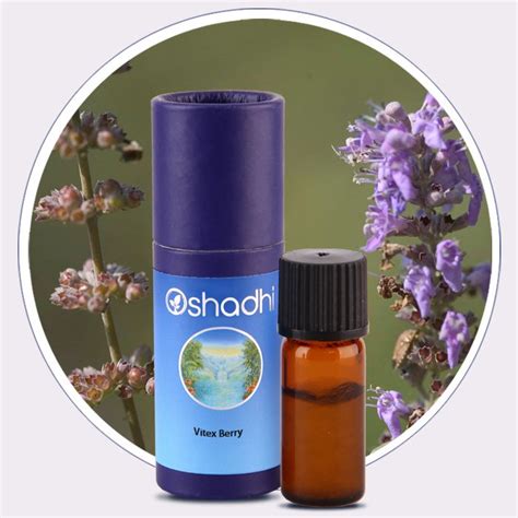 Vitex Berry Essential Oil - Oshadhi Essential Oils