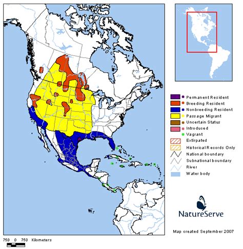 Tennessee Watchable Wildlife | american white pelican - Habitat: WATER