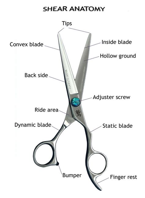 Shear Knowledge | Shear Quality, Steel Types, Blade Types and more..