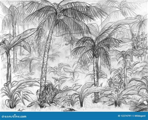 Jungle landscape stock illustration. Image of illustration - 12274791