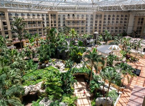 6 Things To Do At Gaylord Palms Orlando Resort