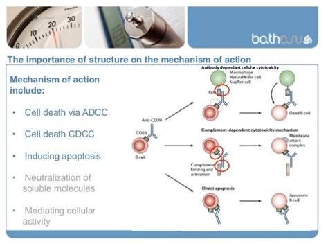 The Chemistry of Monoclonal Antibodies