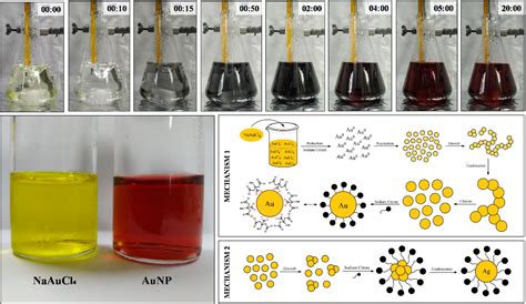 Investigation of the Gold Nanoparticles Synthesis, Mechanism and ...