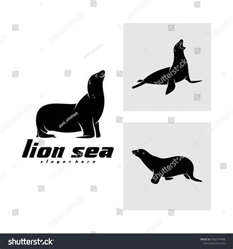 Set Silhouette Sea Lion Vector Illustration Stock Vector (Royalty Free ...