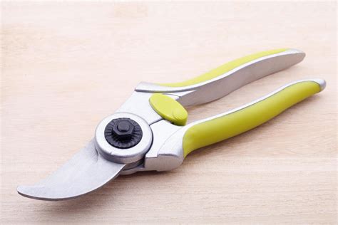 green garden secateurs on wood background 11998184 Stock Photo at Vecteezy