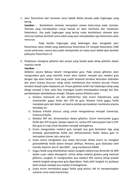 Biologi Sesi 2 - Diskusi Sesi 2 - Jalur fotosintesis dari tanaman cocor ...