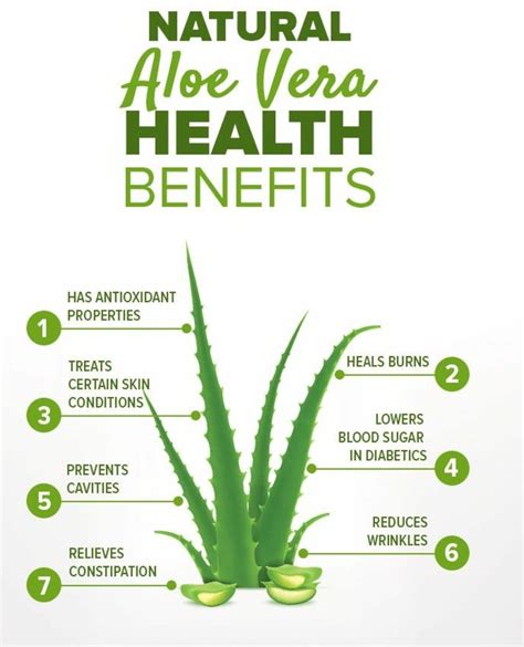 Aloe Vera Plant Skin Uses