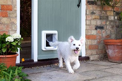 6 Best Smart Dog Doors | Family Handyman