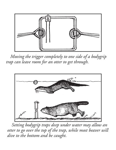 Otter Avoidance Techniques | Pennsylvania Trappers Association