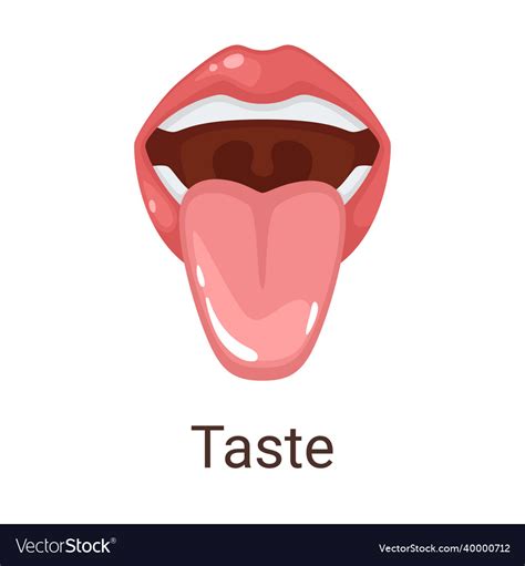 One of five senses - taste Royalty Free Vector Image