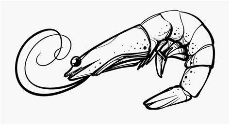 black and white shrimp clipart 10 free Cliparts | Download images on ...