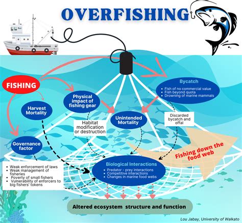 Diminishing Catch in Overfished Bohol Waters - VERA Files