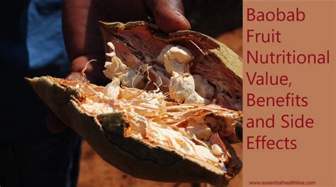 Top Health Benefits of Baobab Fruits and Nutritional Value