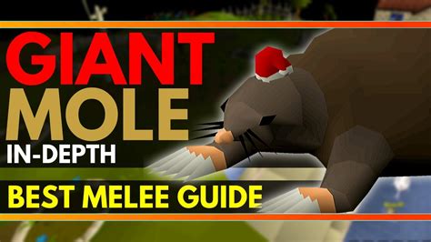 Giant mole guide osrs