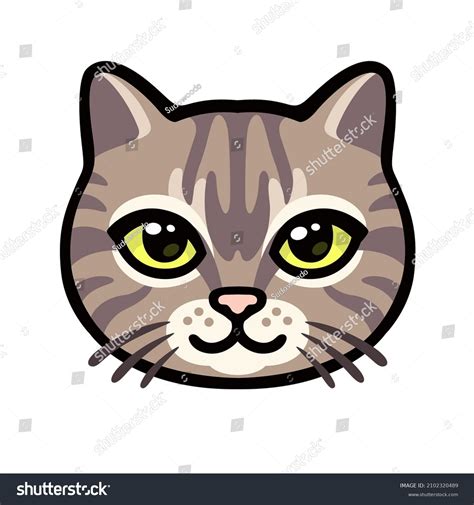 Cartoon Tabby Cat Face Drawing Cute Stock Vector (Royalty Free ...