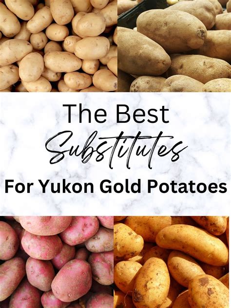 Yukon Gold Potato Substitutes - The Nessy Kitchen