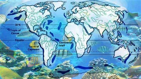 What Biome Covers Over 70 Of The Earth S Surface - The Earth Images ...