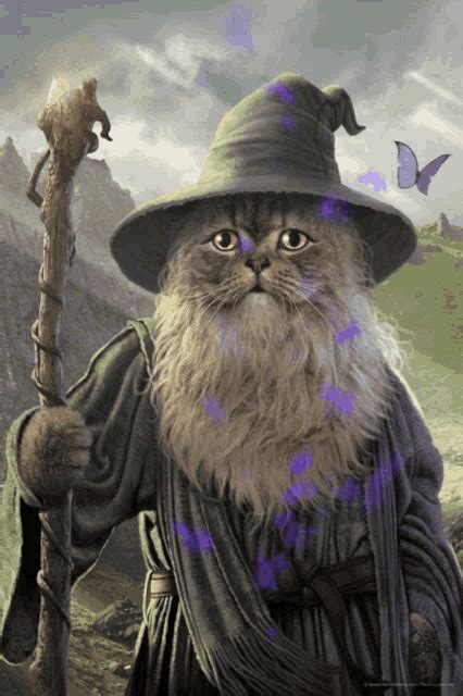 Wizard Cat Magus Cat GIF - Wizard Cat Magus Cat Witch Cat - GIF'leri ...