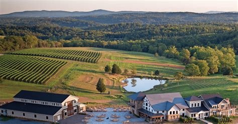 Northern Virginia's vineyards shine