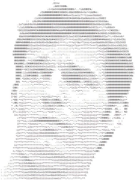 f1humour: ASCII art - Mark Webber’s head